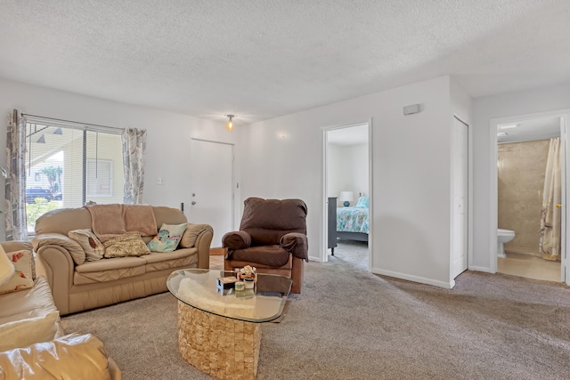 living room featuring a textured ceiling and light colored carpet