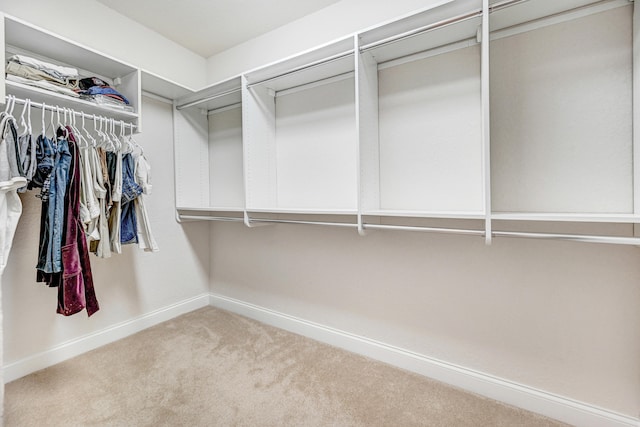 spacious closet with carpet