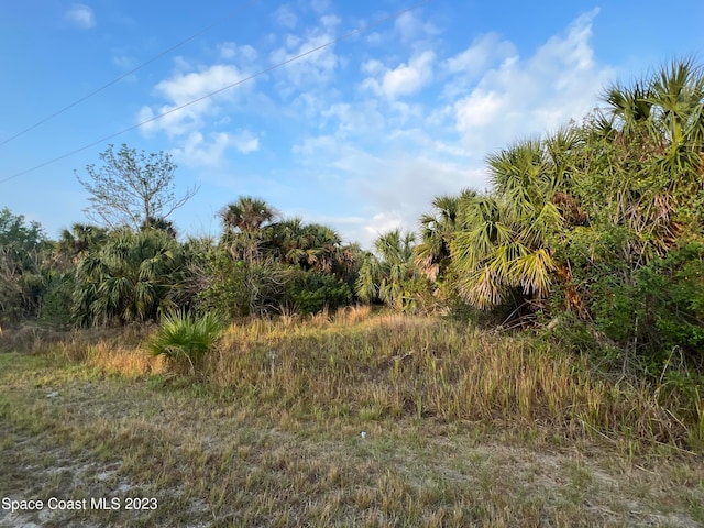 2044 Alwar Ave, Palm Bay FL, 32908 land for sale