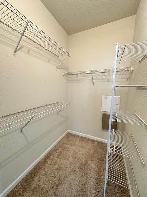 walk in closet featuring carpet flooring