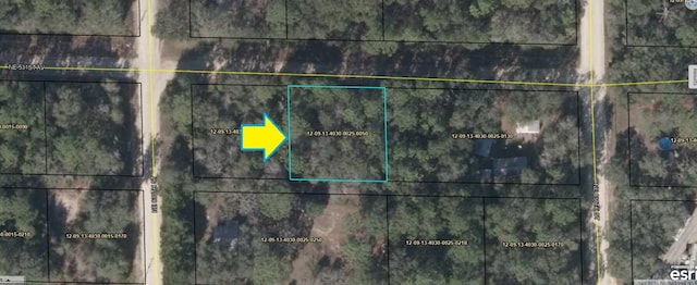 0000 NE 531st Ave, Old Town FL, 32680 land for sale