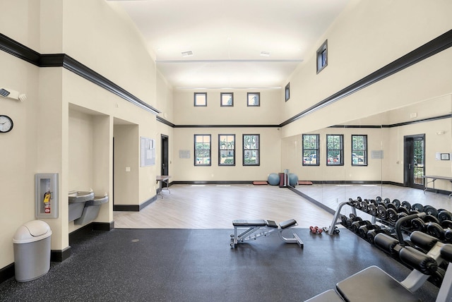 gym featuring wood-type flooring, a wealth of natural light, and a high ceiling