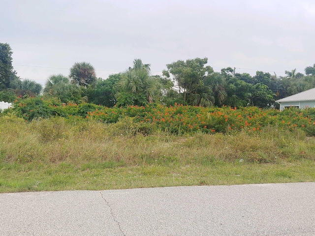 125 Wayne Ave, Indialantic FL, 32903 land for sale