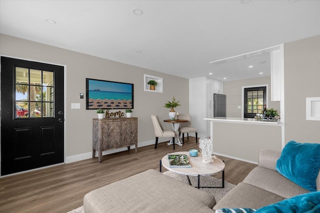 living room featuring hardwood / wood-style floors