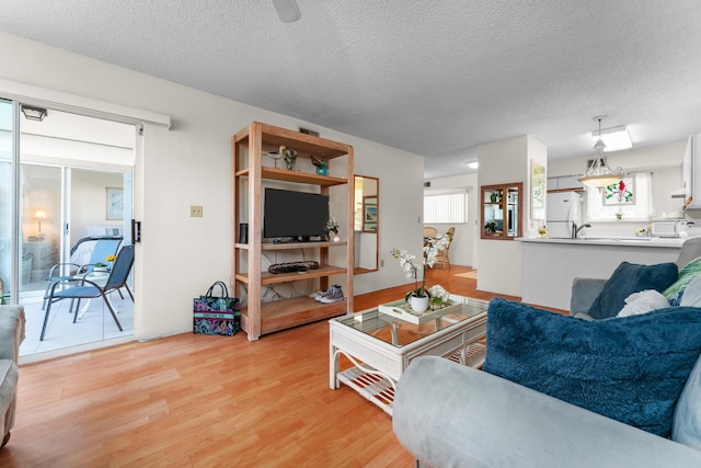 living room with a textured ceiling and light hardwood / wood-style flooring