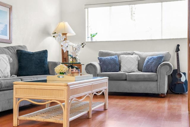 living room with hardwood / wood-style flooring