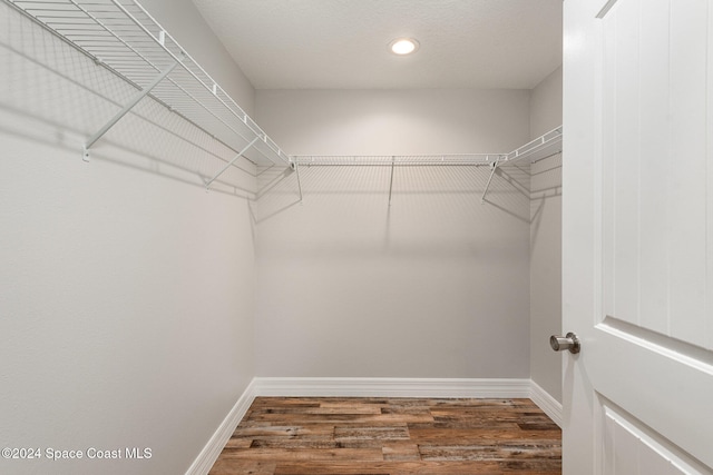 spacious closet featuring dark wood-type flooring