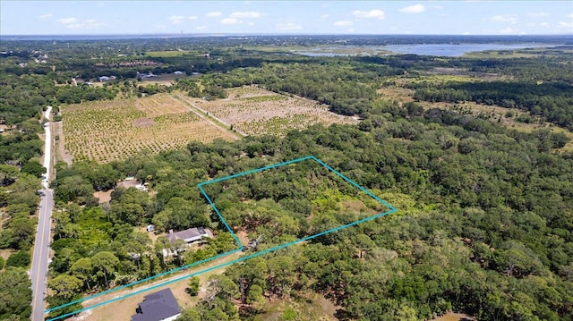 4995 Panther Ln, Mims FL, 32754 land for sale