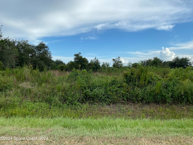 14778 NW 250th St, Okeechobee FL, 34972 land for sale