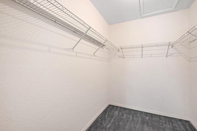 walk in closet with dark carpet