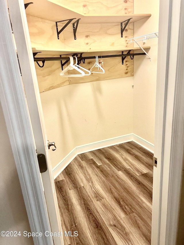 walk in closet with wood-type flooring