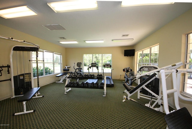 exercise room with carpet