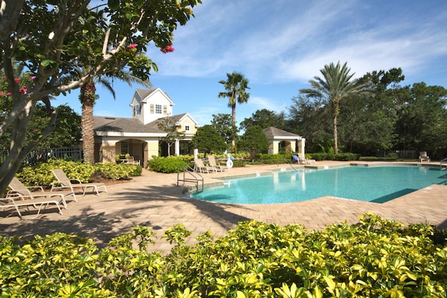 view of swimming pool with a patio area