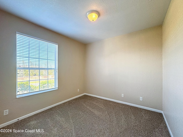 carpeted empty room with a textured ceiling and plenty of natural light