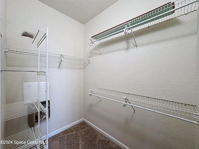 spacious closet featuring carpet