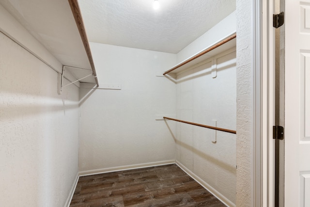 spacious closet with dark hardwood / wood-style flooring