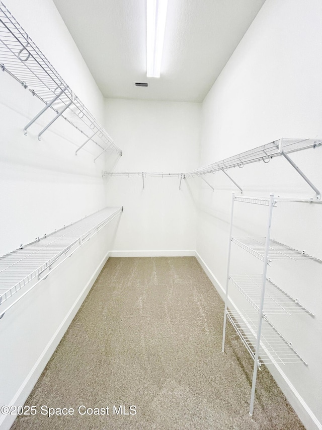 walk in closet featuring carpet and visible vents