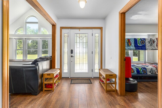 foyer with vaulted ceiling, dark wood-type flooring, and a wealth of natural light