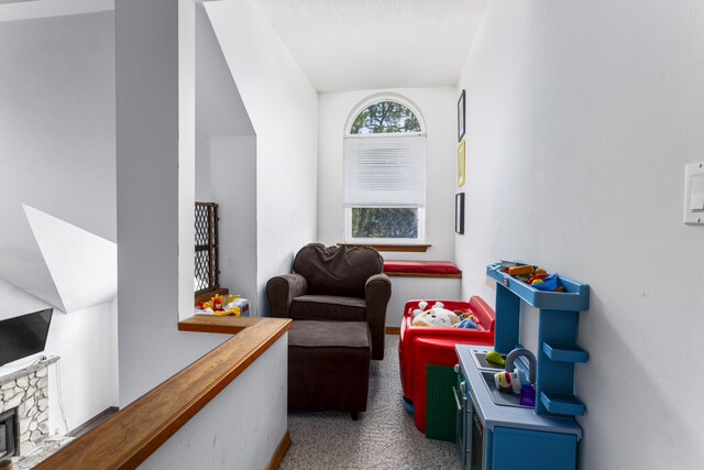 interior space with a stone fireplace and carpet flooring