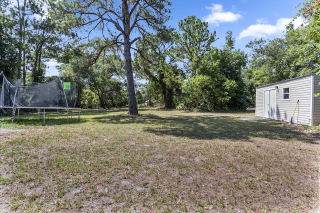 view of yard featuring a trampoline and a storage unit