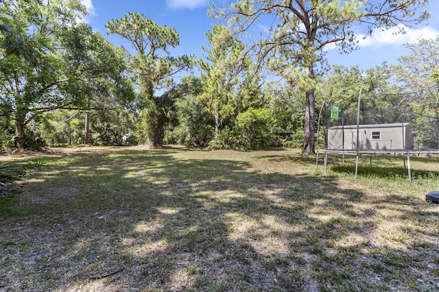 view of yard with a trampoline