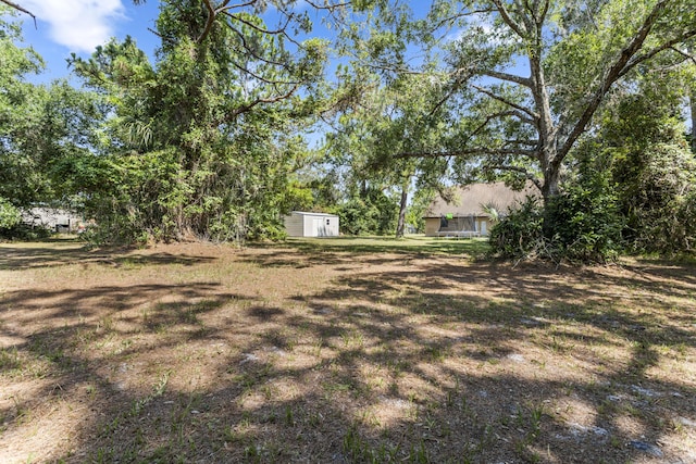 view of yard with a storage unit