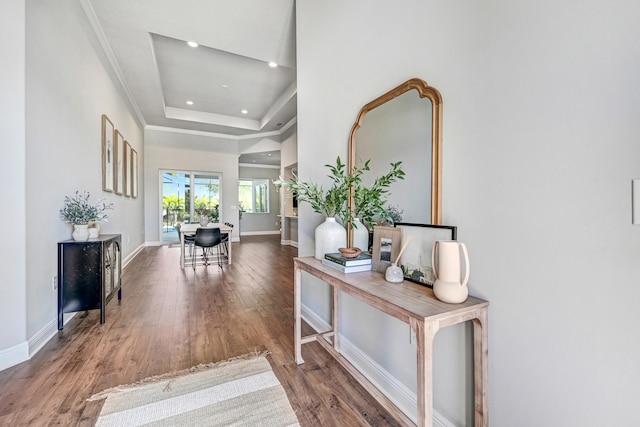 hallway featuring a raised ceiling and hardwood / wood-style floors