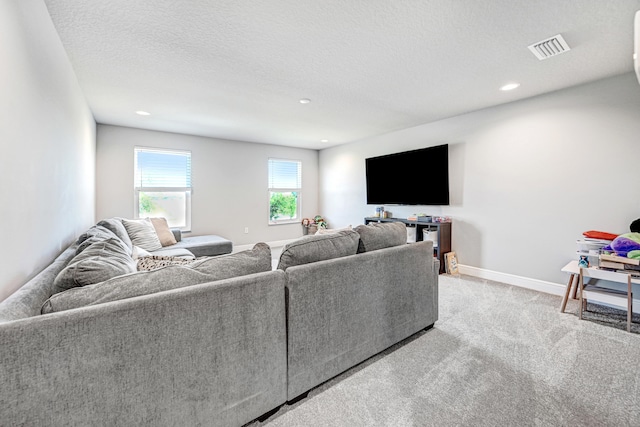 living room featuring a textured ceiling and light colored carpet