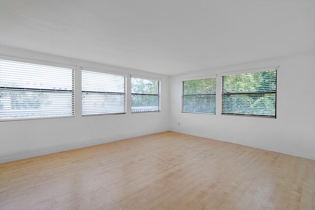 empty room featuring light hardwood / wood-style floors