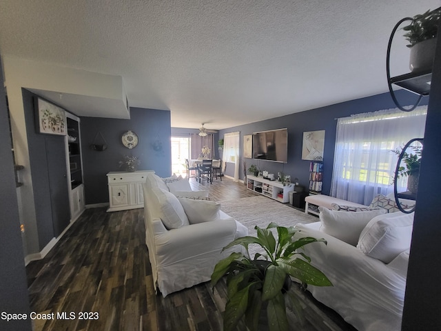 living room with a textured ceiling and dark hardwood / wood-style flooring