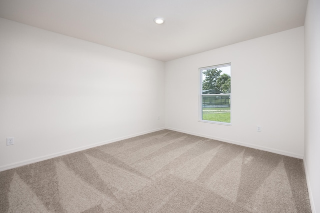 spare room with carpet