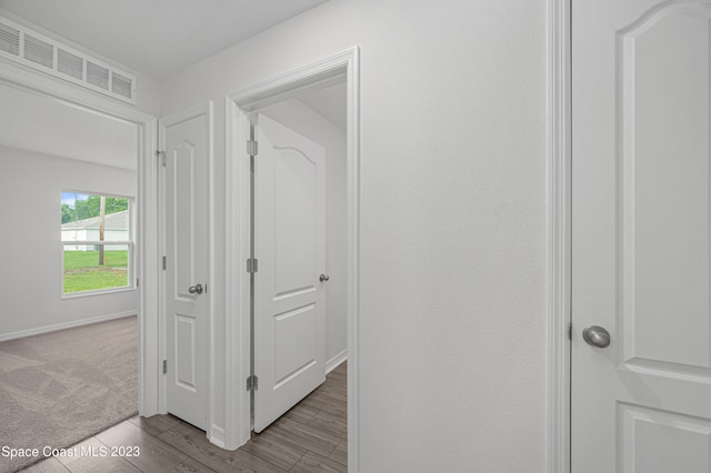 hallway featuring carpet floors