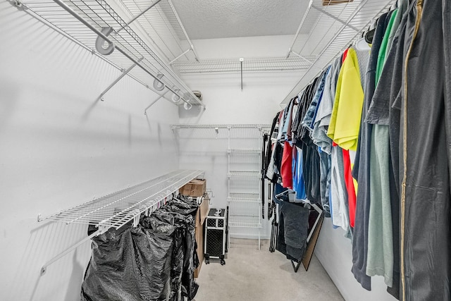 view of walk in closet