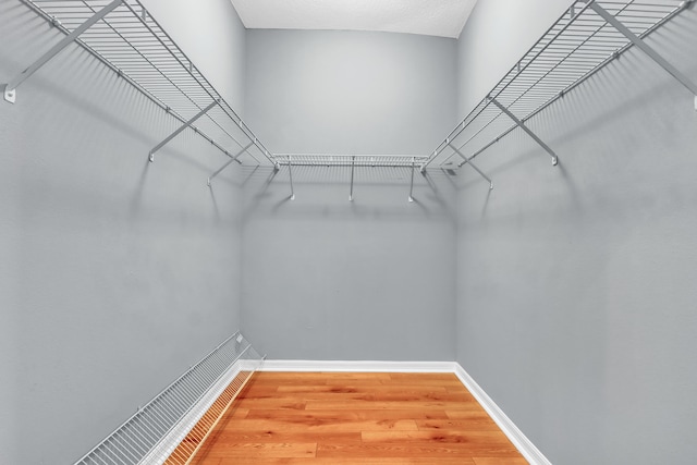 spacious closet with hardwood / wood-style floors