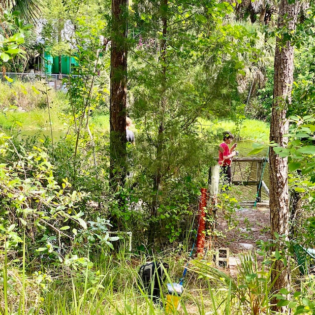 view of local wilderness