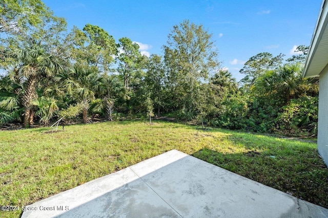 view of yard featuring a patio area