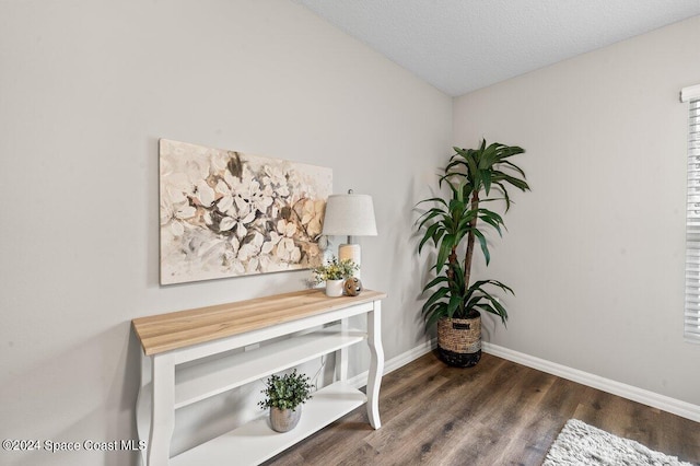 interior details featuring hardwood / wood-style floors and a textured ceiling