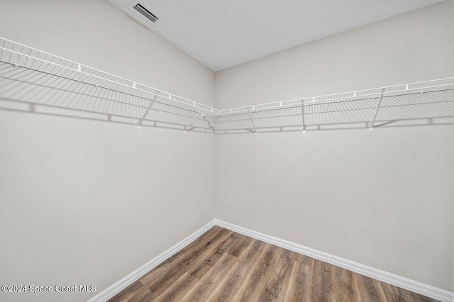 spacious closet featuring wood-type flooring