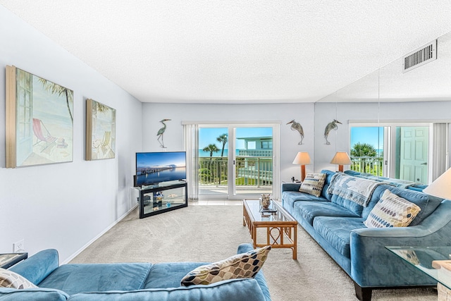 carpeted living room with a textured ceiling