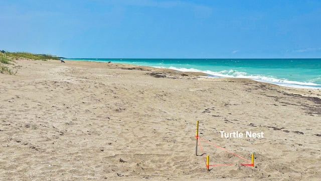 property view of water with a beach view