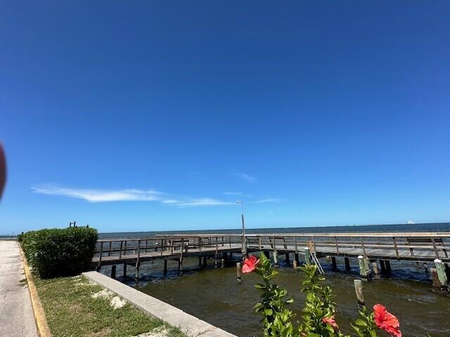 dock area with a water view