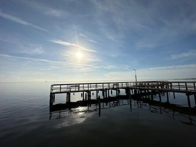 dock area with a water view