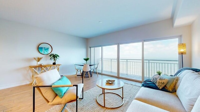 living room with hardwood / wood-style floors