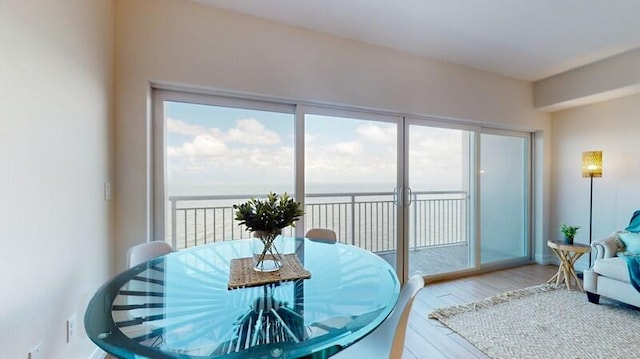 dining room featuring light hardwood / wood-style flooring