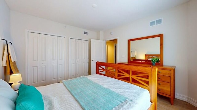 bedroom featuring two closets and wood-type flooring