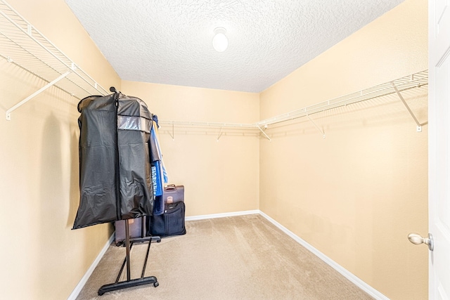 spacious closet featuring carpet