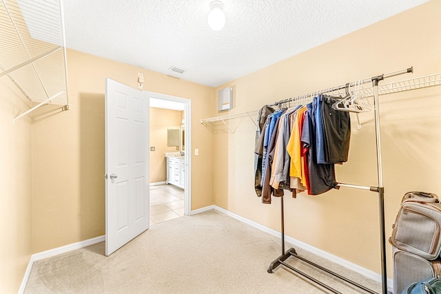 spacious closet with light carpet