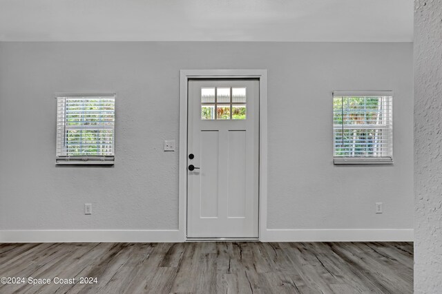702 S Myrtle Ave, New Smyrna Beach, FL 32168 - entrance foyer with wood finished floors, baseboards, and a wealth of natural light