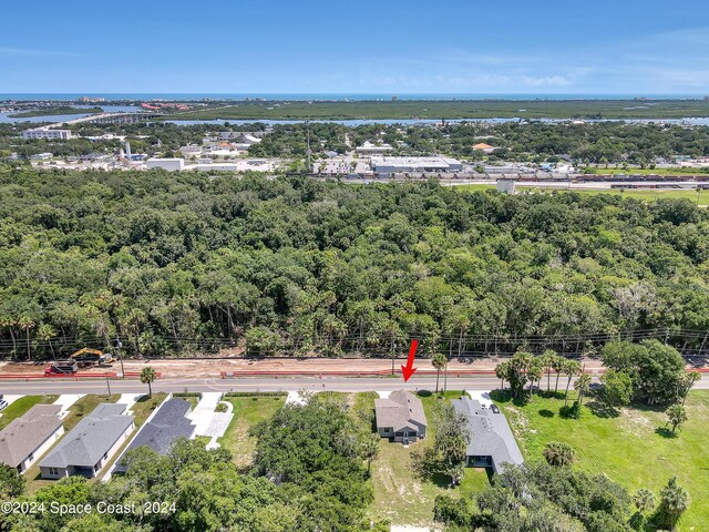 702 S Myrtle Ave, New Smyrna Beach, FL 32168 - aerial view with a view of trees