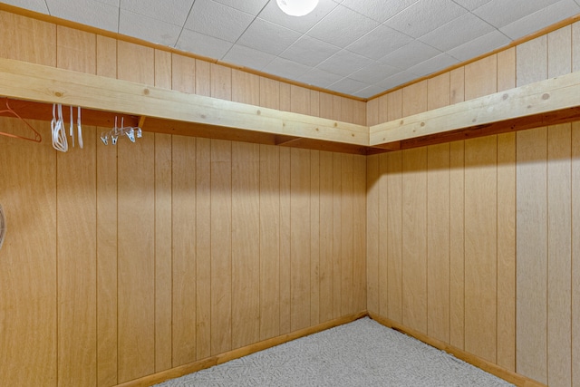 empty room featuring wooden walls and carpet floors